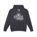Sunshine and Sarcasm Hoodie